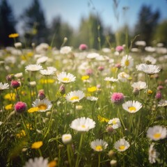 Obraz premium Meadow with lots of white and pink spring daisy flowers and yellow dandelions in sunny day. generative ai