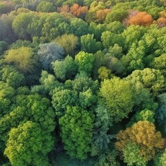 Naklejka na ściany i meble the earth's green forest Save Earth by demonstrating the principle of conserving the top ecology and natural environment.. generative ai