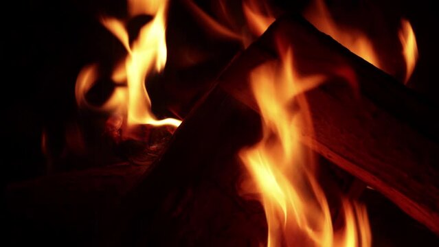 Video of fire with firewood (dry wood) in macro shot, detail. 