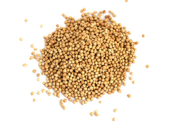 Heap Coriander Seeds (Coriandrum sativum) isolated on white background.