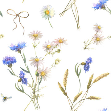 Watercolor seamless pattern with blue field flowers, Cornflower herb, chamomile, and forget me not, drawing by watercolor, hand drawn floral illustration, isolated on white background