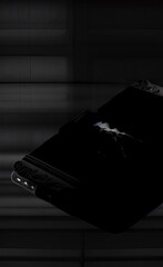 black and white made using Generative AI Technology.