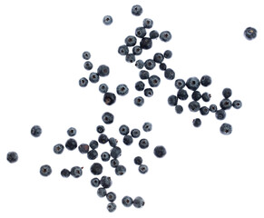 Ripe blueberries isolated on white background.