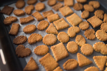 Cooking at home, using modeling splinter, pan with hot cookies