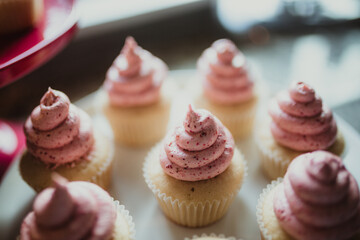 pink cream frosted cupcakes in the light.