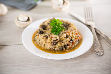 cooked bulgur with mushrooms, carrots and vegetables in a plate