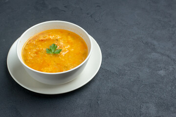 front view delicious soup inside white plate on dark surface bread diner colourful meal horizontal restaurant dish food