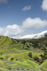 Vertical shot of a green mountain with snow on the top