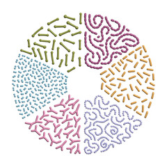 3d render Set of different types of good bacterias of human microbiome on circle shape background, Simple Volume  illustration