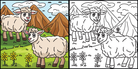 Sheep Coloring Page Colored Illustration