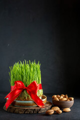 front view green semeni with red bow nuts on dark background ornate horizontal ethnic spring holiday ribbon novruz concept