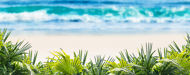 defocused tropical sand beach with blurred water wave and fresh green palm leaves in forground,...