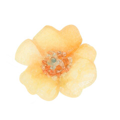 Watercolor Indoor Plants - Elements