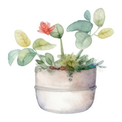 Watercolor Indoor Plants - Elements