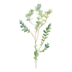 Watercolor Indoor Plants - Elements