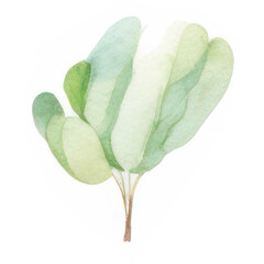 Watercolor Indoor Plants - Elements