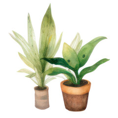 Watercolor Indoor Plants - Elements