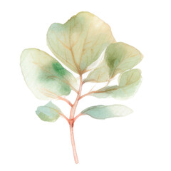 Watercolor Indoor Plants - Elements