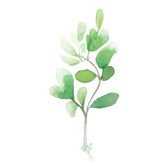 Watercolor Indoor Plants - Elements