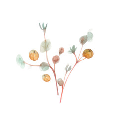 Watercolor Indoor Plants - Elements