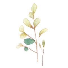 Watercolor Indoor Plants - Elements