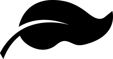 Obraz premium Leaf icon 