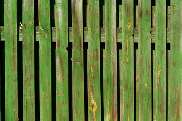 green fence, old cracked paint on a tree