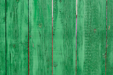 Fototapeta na wymiar green fence, old cracked paint on a tree