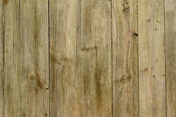 wooden fence made of unpainted boards, close-up shot