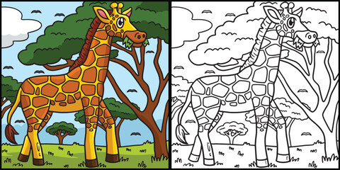 Giraffe Coloring Page Colored Illustration