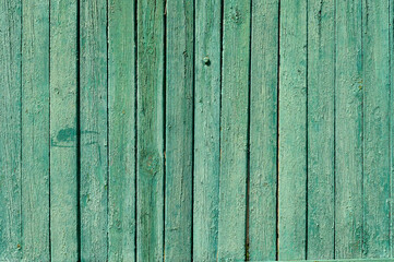 green fence, old cracked paint on a tree