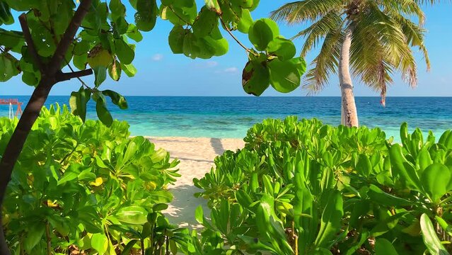 Walking through tropical bushes towards the sea on the beautiful beach of Mauritius