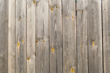 wooden fence boards made of unpainted , close-up shot