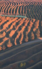 view of landscape made using Generative AI Technology.