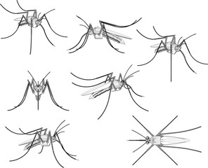 Vector sketch illustration of flying mosquito
