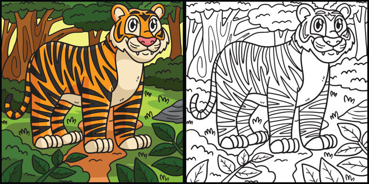 Tiger Coloring Page Colored Illustration