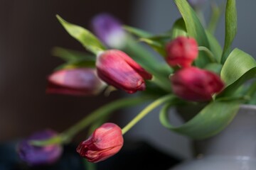 Vibrant bouquet of tulips in a variety of colors.