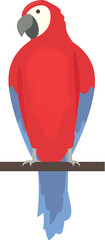 Zoo parrot icon cartoon vector. Macaw bird. Jungle cute