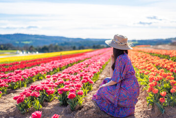 Femme en robe au premier plan d'un champs de tulipes multicolore dans le sud de la France, près de...