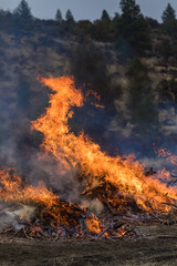 Forest fire prescribed burn