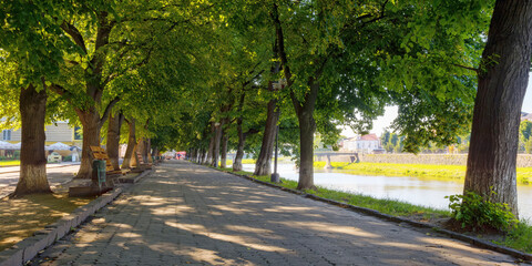 river embankment at sunrise. cityscape in summer. linden alley in full blossom