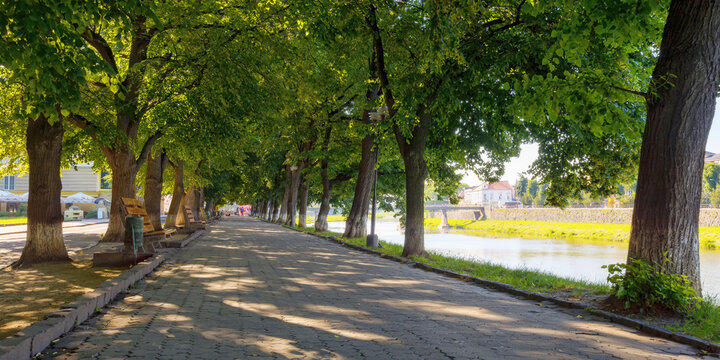river embankment at sunrise. cityscape in summer. linden alley in full blossom