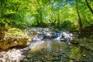 Naklejka na ściany i meble moss covered rocks in the creek. outdoor nature scenery of carpathian woodland
