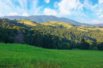 fresh morning and peacefulness of the rural mountain landscape. scenery with forested rolling hills and meadows