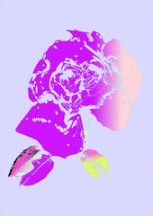 illustration of a sketch of a rose