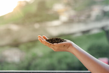 close-up of a latina girl's hand holding a handful of soil for planting the garden