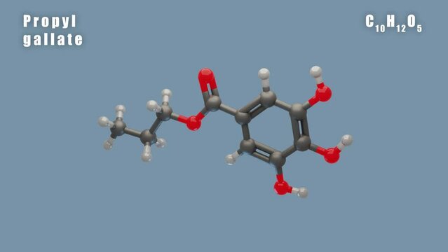 Propyl gallate of C10H12O5 3D Conformer animated render. Food additive E310

Isolated background and alpha layer, seamless loop.