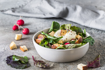 Mixed salad with radishes, homemade croutons and burrata cheese on gray background