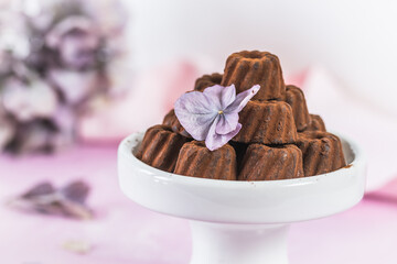 Chocolate pralines in the form of small Bundt cakes, dusted with cocoa, on light pink background, decorated with hydrangea blossom