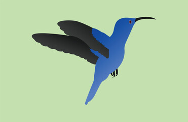 blue bird on background